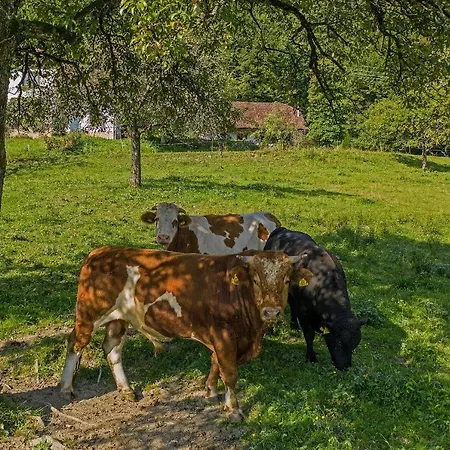 Apartman Rose Garden Ljubno