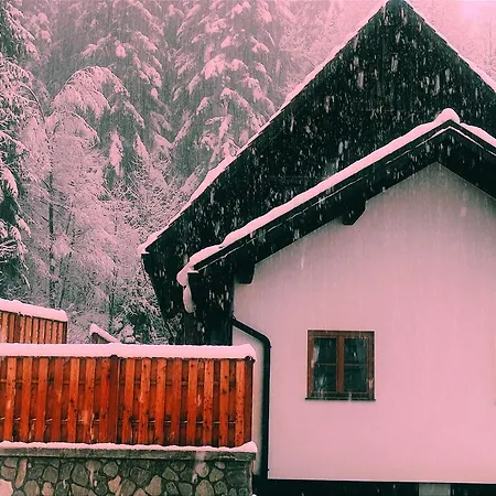 Appartement Rose Garden