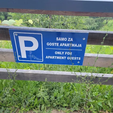 Rose Garden Apartament *