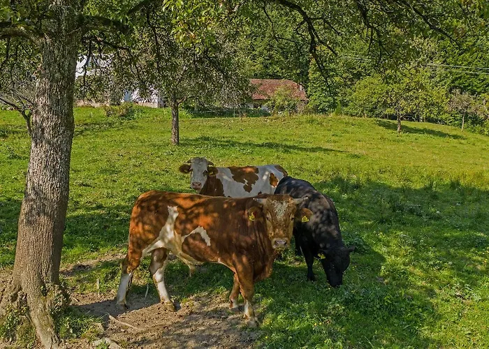 Appartement Rose Garden Ljubno