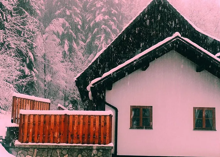 Appartement Rose Garden